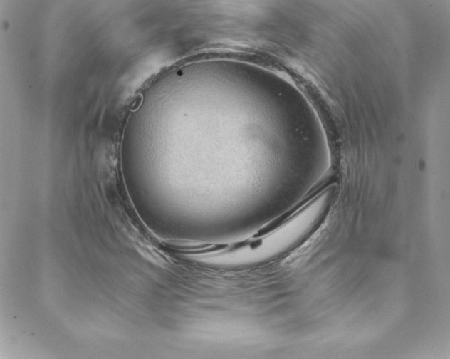 X0000088841355200706071410