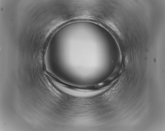 X0000088841356200706071410