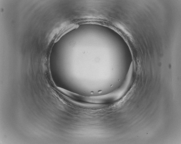 X0000088841357200706071410