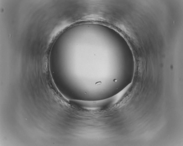 X0000088841358200706071410