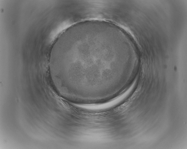 X0000088841359200706071410