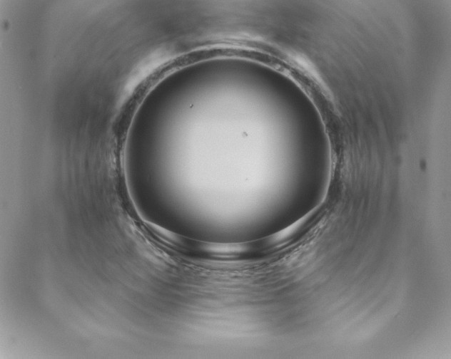 X0000088841360200706071410