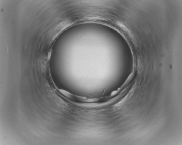 X0000088841361200706071409