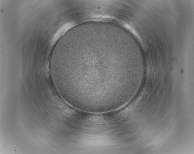 X0000088841362200706071409