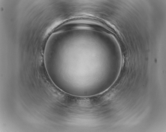 X0000088841363200706071409