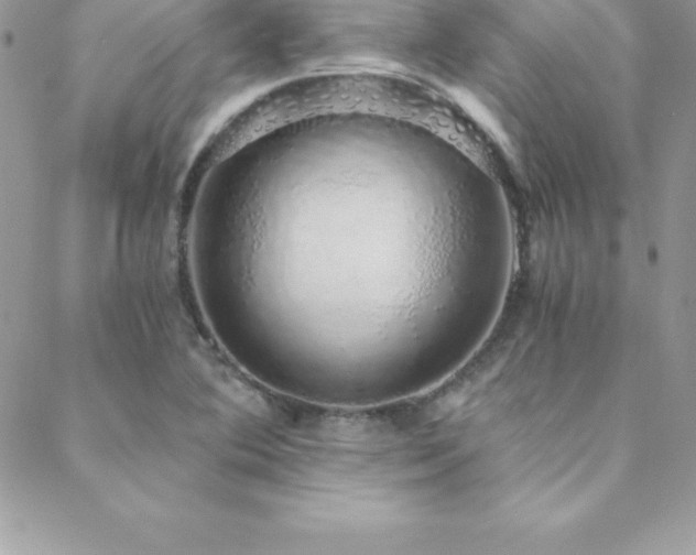 X0000088841364200706071409