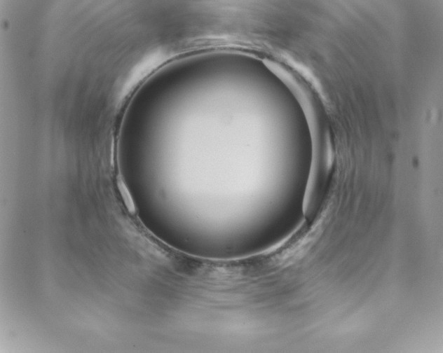 X0000088841365200706071409