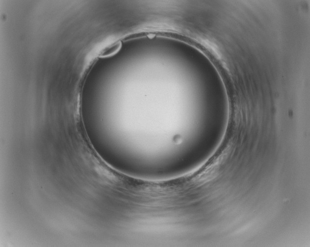 X0000088841366200706071409