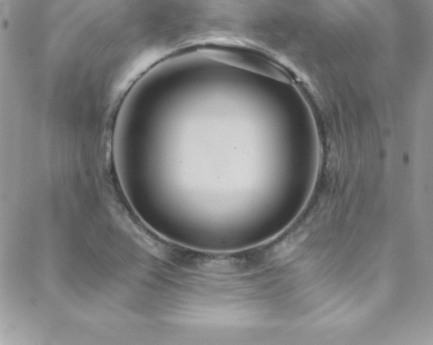 X0000088841367200706071409