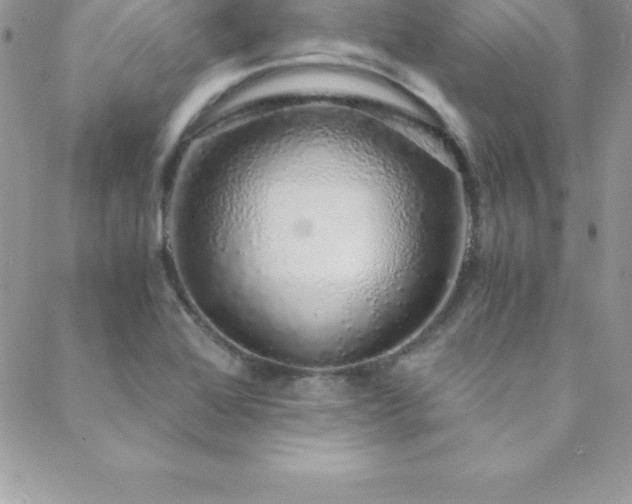 X0000088841368200706071409