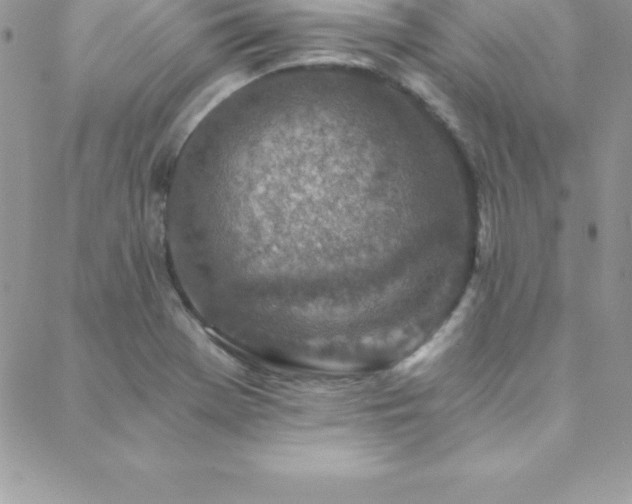 X0000088841369200706071409