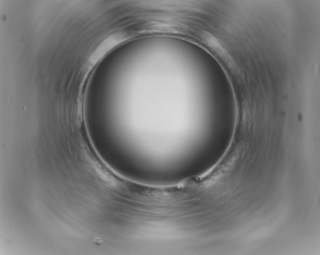 X0000088841370200706071409