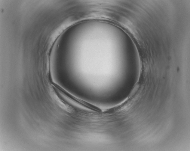 X0000088841371200706071409