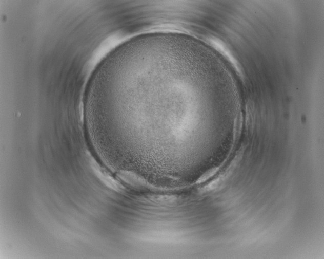 X0000088841372200706071409