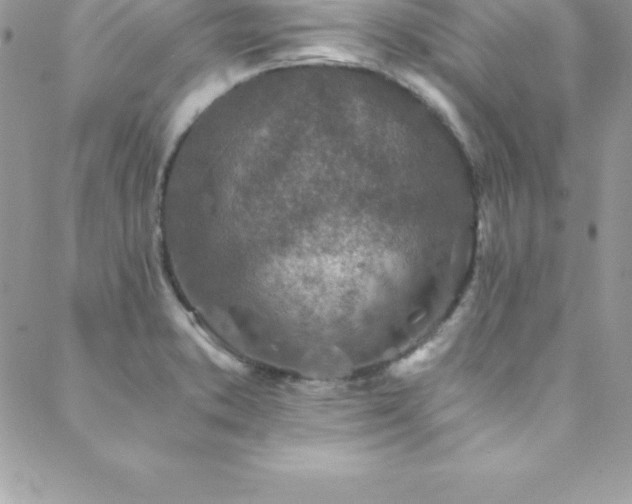 X0000088841373200706071409