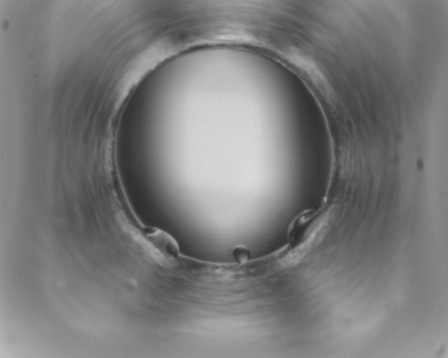 X0000088841374200706071409