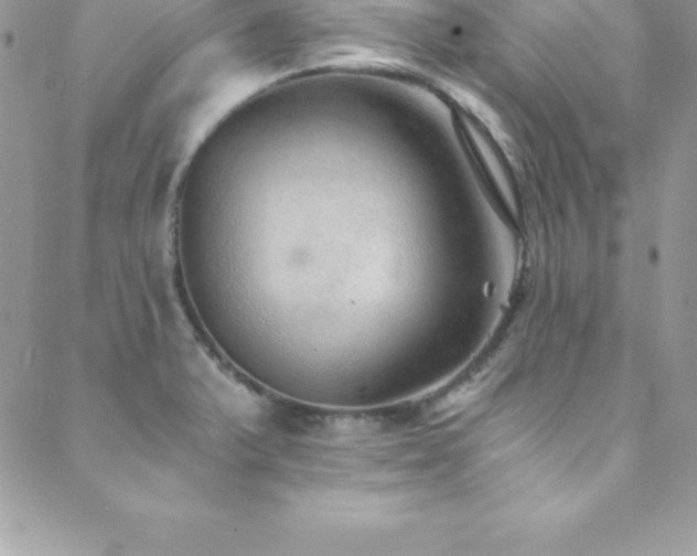 X0000088841375200706071409