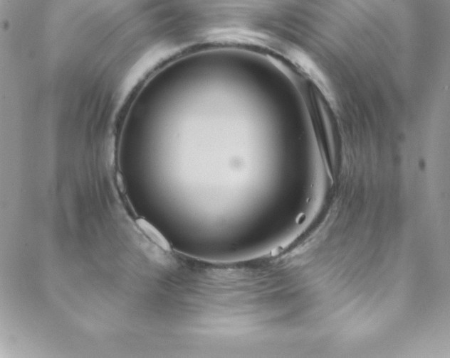 X0000088841376200706071409