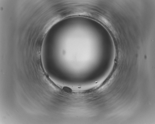 X0000088841377200706071409