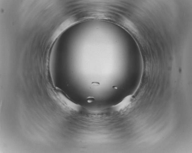 X0000088841378200706071409