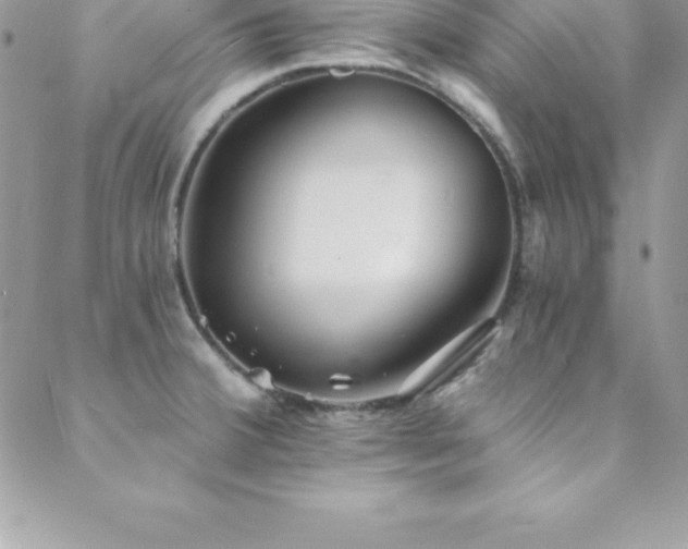 X0000088841380200706071409