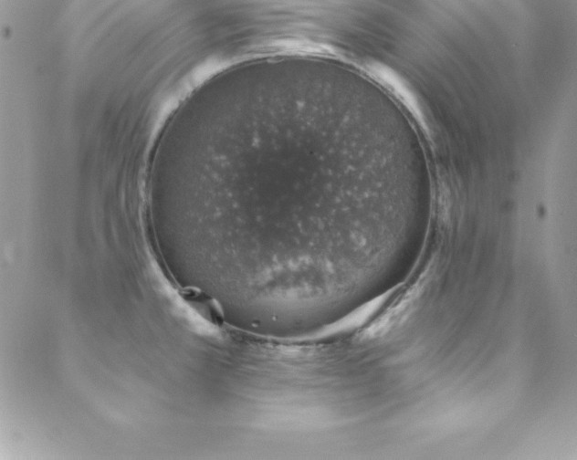 X0000088841381200706071409