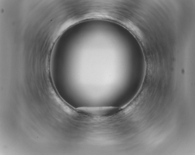 X0000088841382200706071409