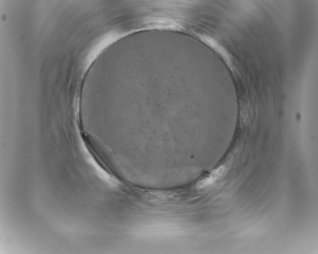 X0000088841383200706071409