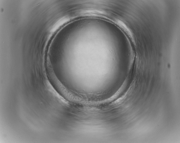 X0000088841384200706071409