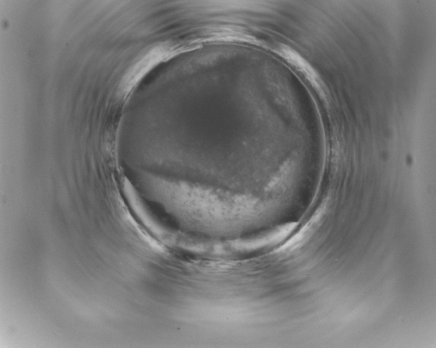 X0000088841385200706071409