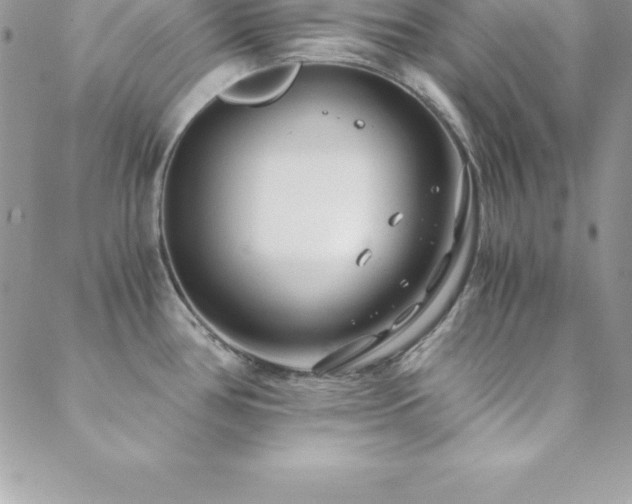 X0000088841386200706071409