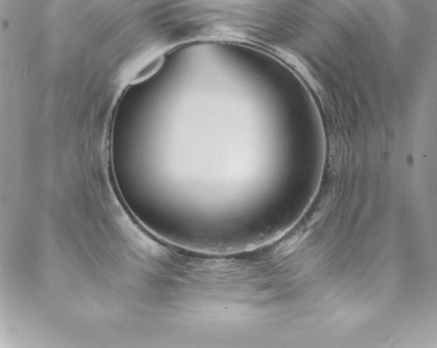 X0000088841387200706071409