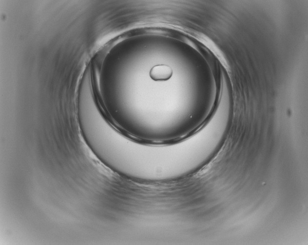 X0000088841388200706071409