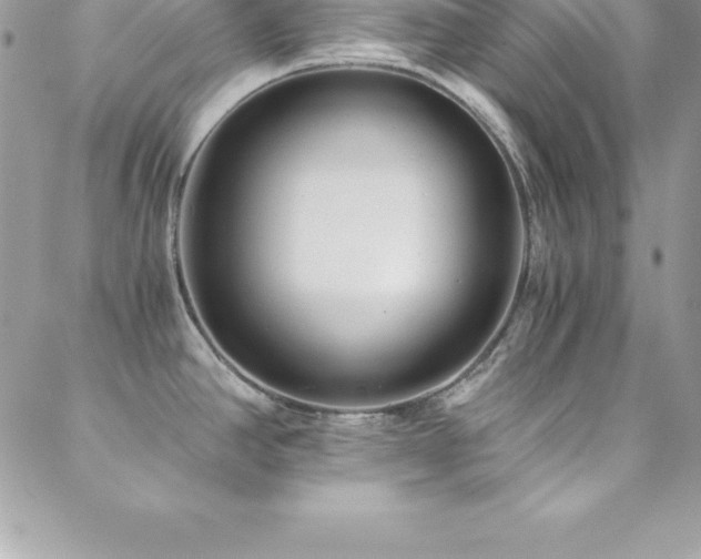 X0000088841390200706071409