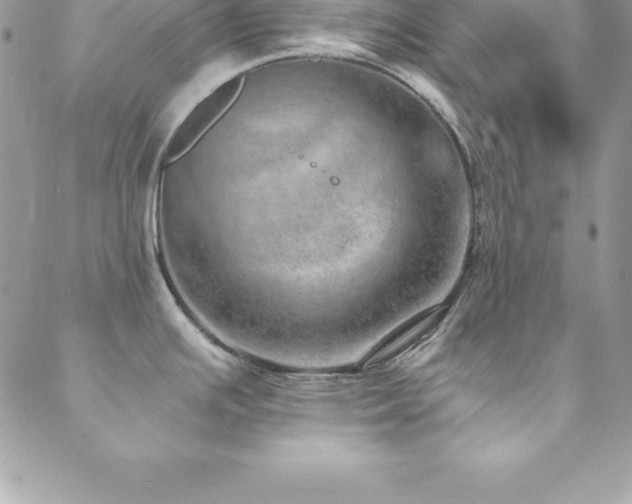 X0000088841391200706071409