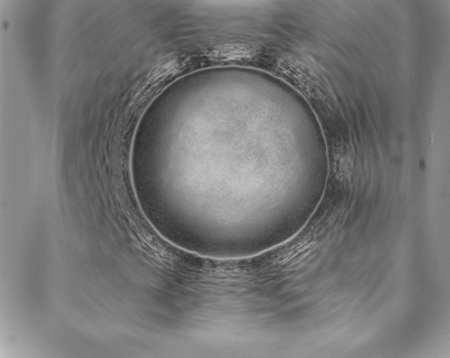 X0000088841393200706071408