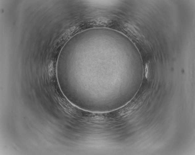 X0000088841395200706071408