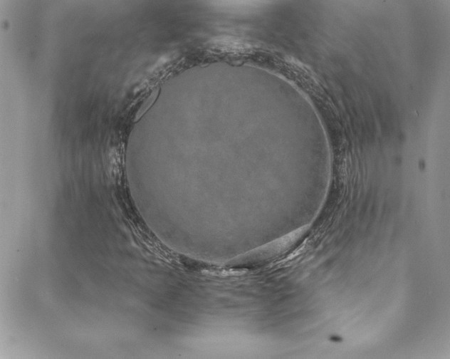 X0000088841397200706071408