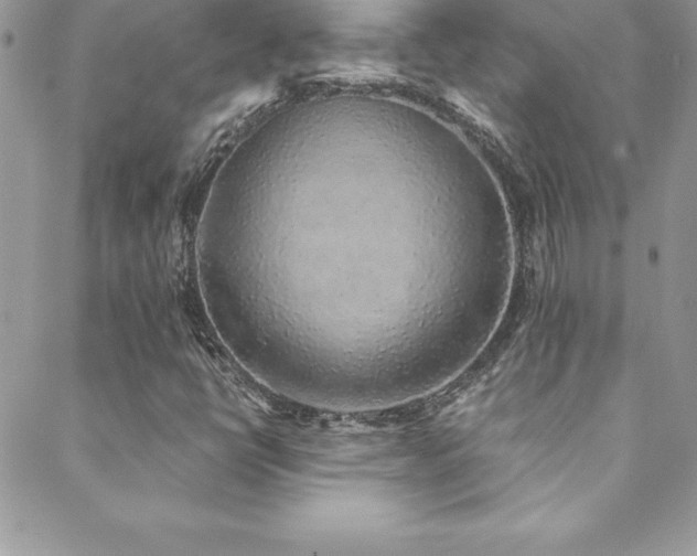 X0000088841398200706071408