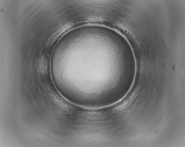 X0000088841401200706071408