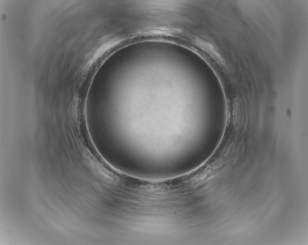 X0000088841404200706071408