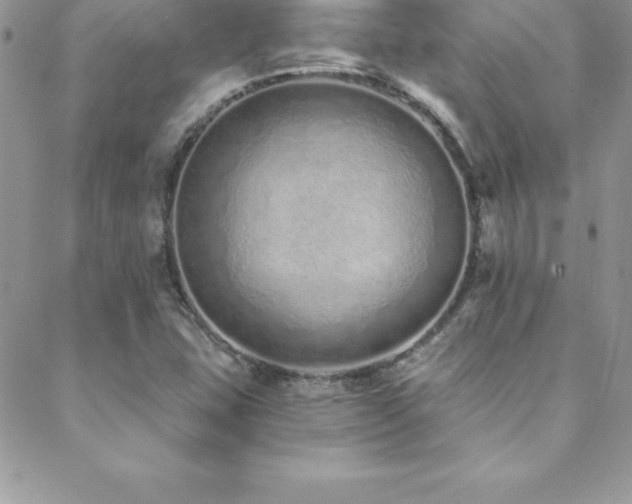 X0000088841407200706071408