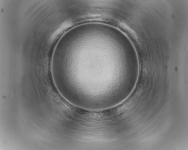 X0000088841411200706071409