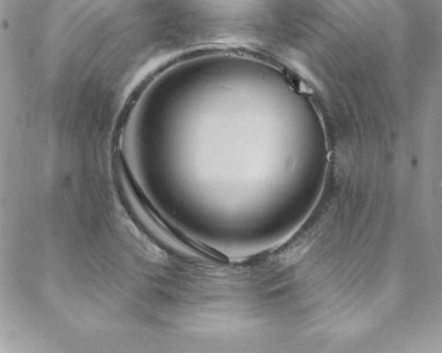 X0000088841412200706071409