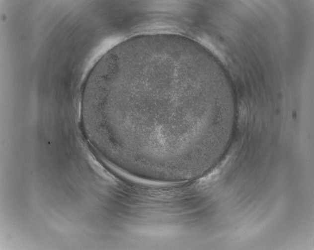 X0000088841413200706071409