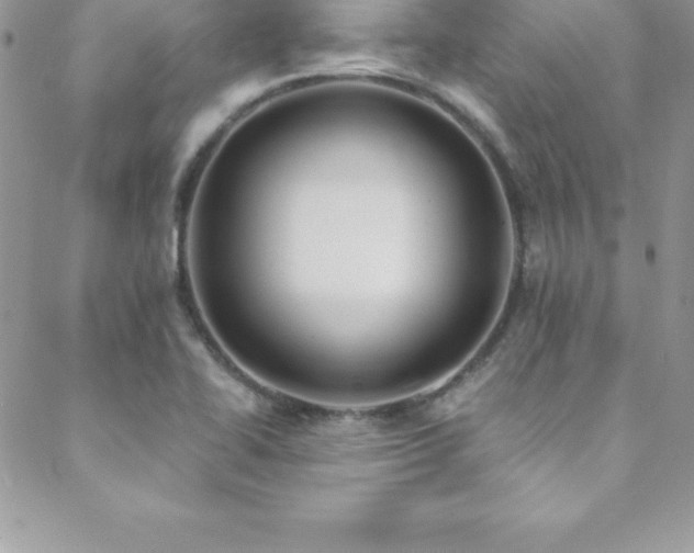 X0000088841414200706071409