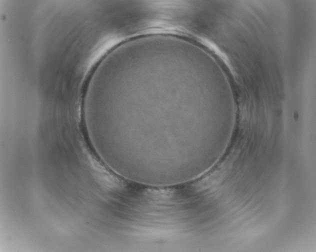 X0000088841415200706071409