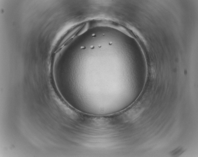 X0000088841416200706071409