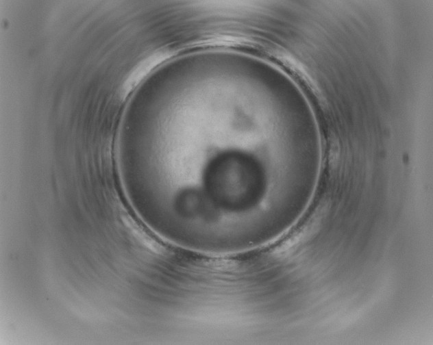 X0000088841417200706071409