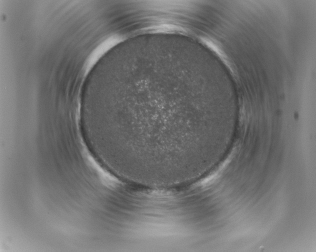 X0000088841418200706071409